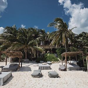 Nest Tulum